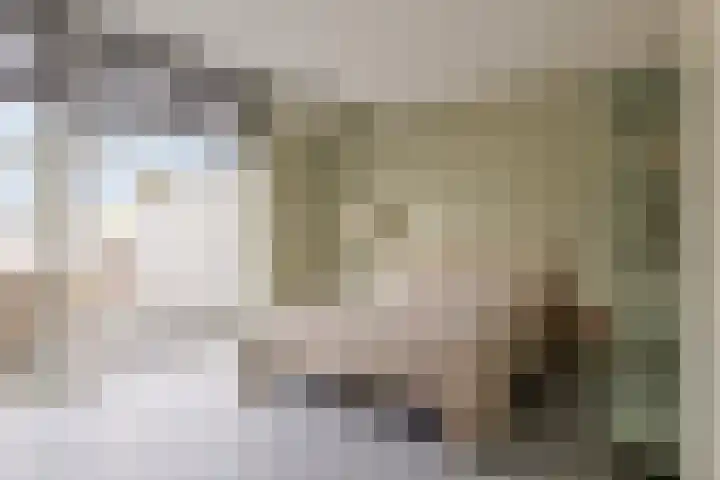Esrein 10 H Hengelo thumbnail 19