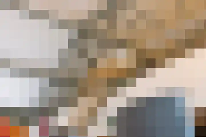 Esrein 10 H Hengelo thumbnail 28