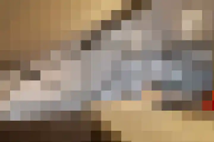 Esrein 10 H Hengelo thumbnail 33