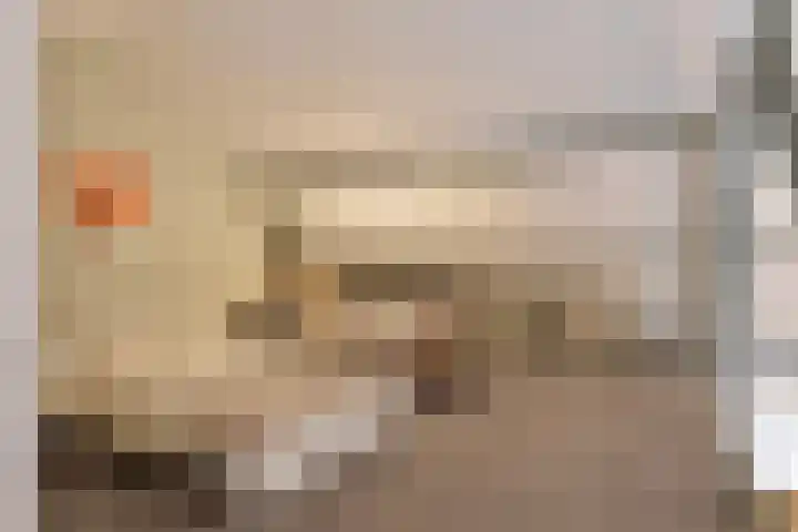 Esrein 10 H Hengelo thumbnail 34