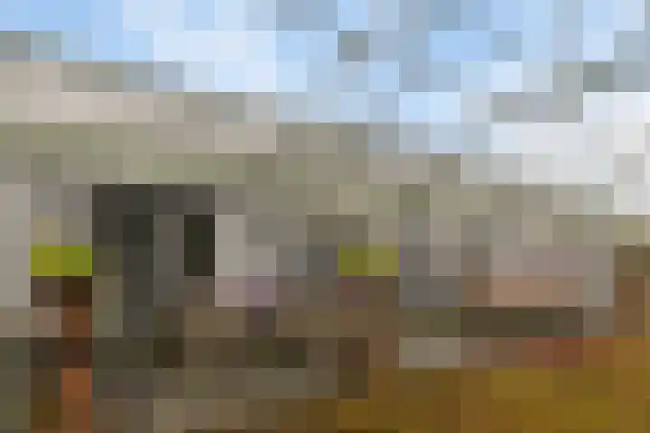 Esrein 10 H Hengelo thumbnail 38