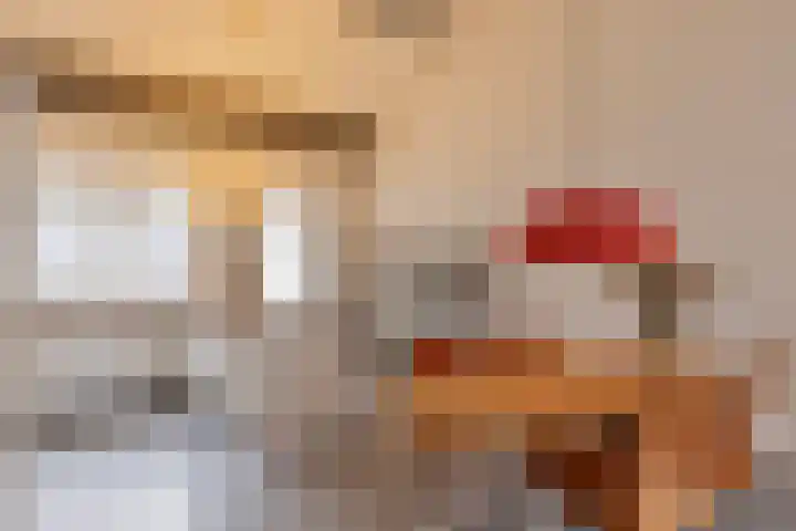 Esrein 10 H Hengelo thumbnail 7