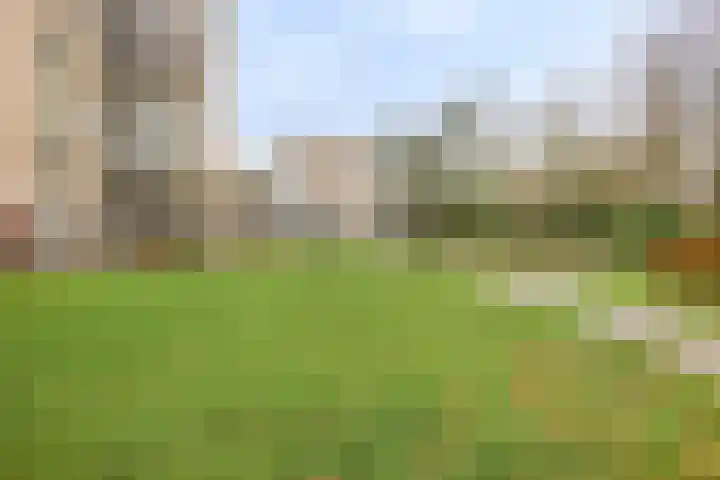 Esschebaan 182 Oisterwijk thumbnail 27