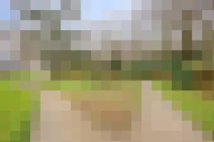Esschebaan 182 Oisterwijk thumbnail 28