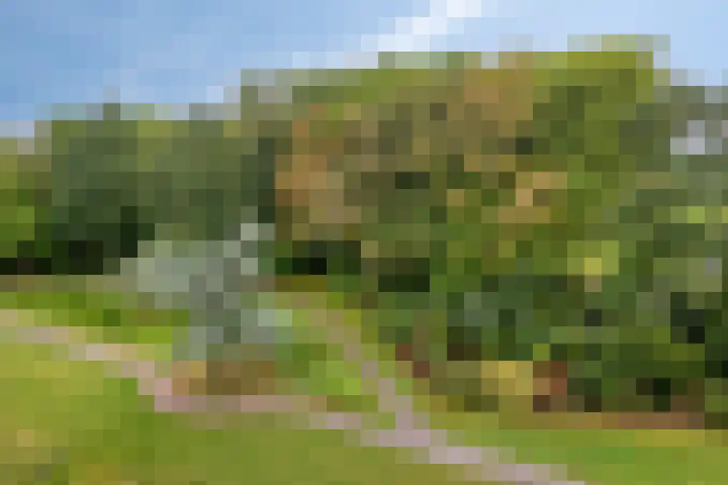 Esschebaan 190 Oisterwijk thumbnail 32