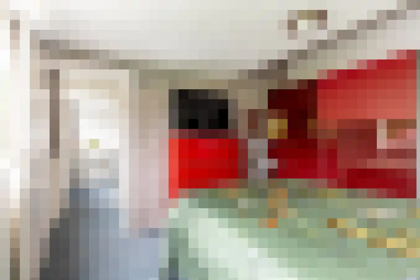 Esschebaan 6 Boxtel thumbnail 20