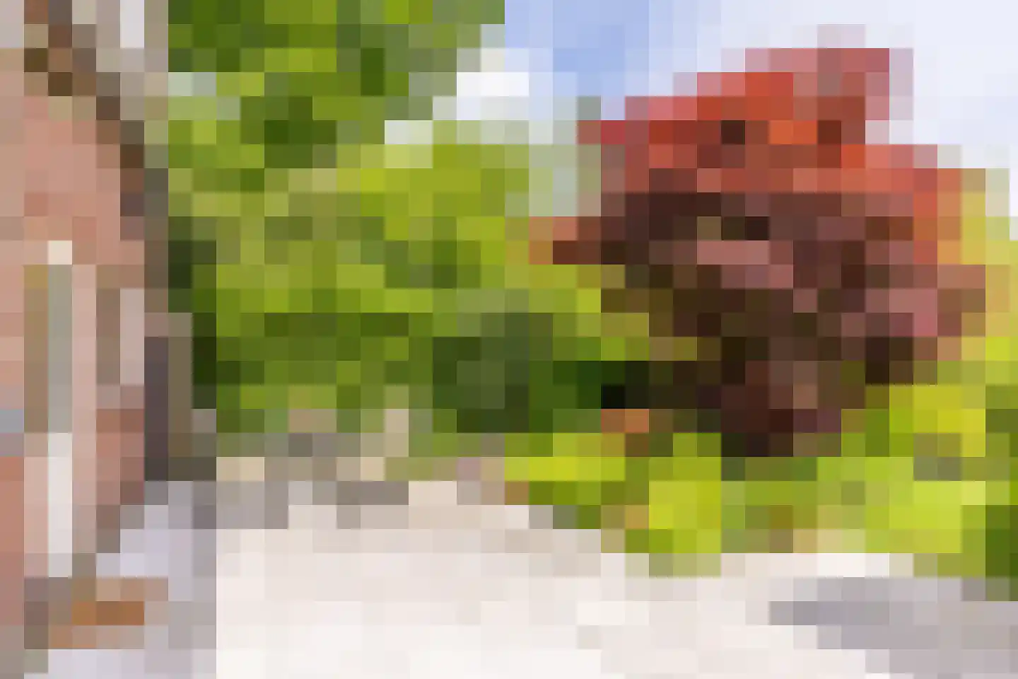 Esschebaan 6 Boxtel thumbnail 31