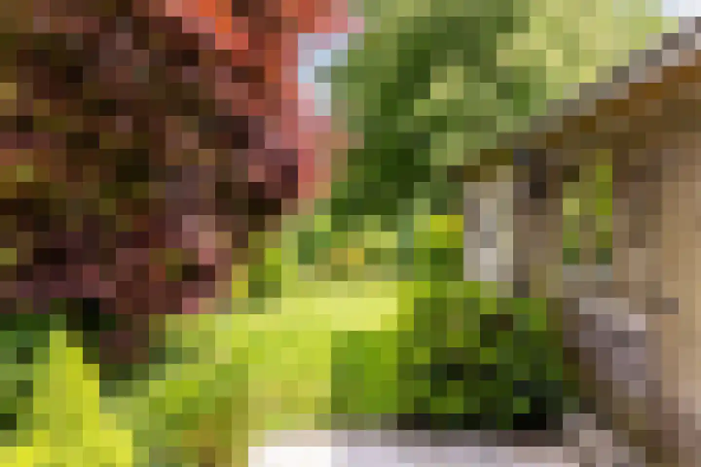Esschebaan 6 Boxtel thumbnail 34