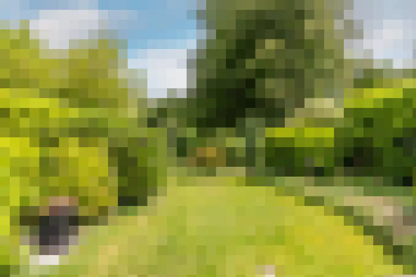 Esschebaan 6 Boxtel thumbnail 35
