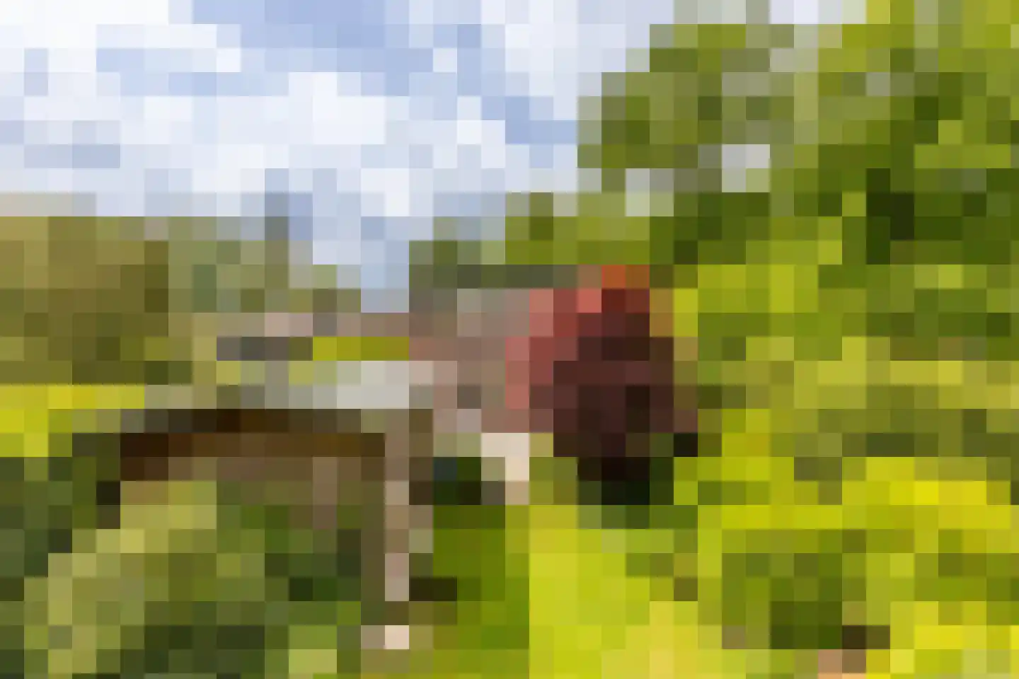 Esschebaan 6 Boxtel thumbnail 37