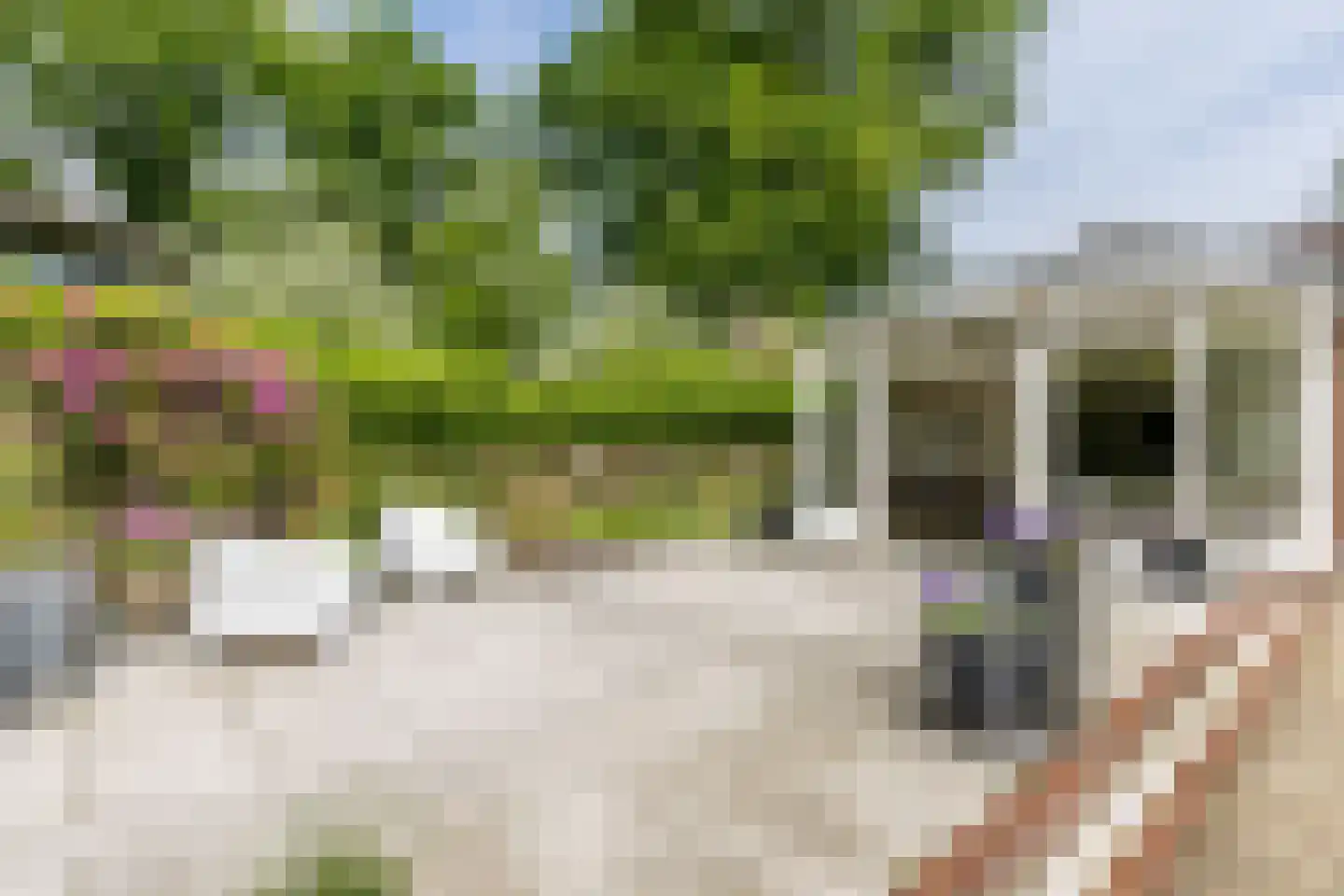 Esschebaan 6 Boxtel thumbnail 39