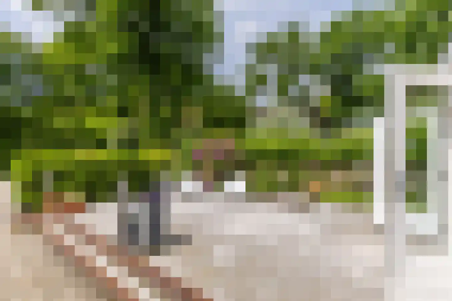 Esschebaan 6 Boxtel thumbnail 40