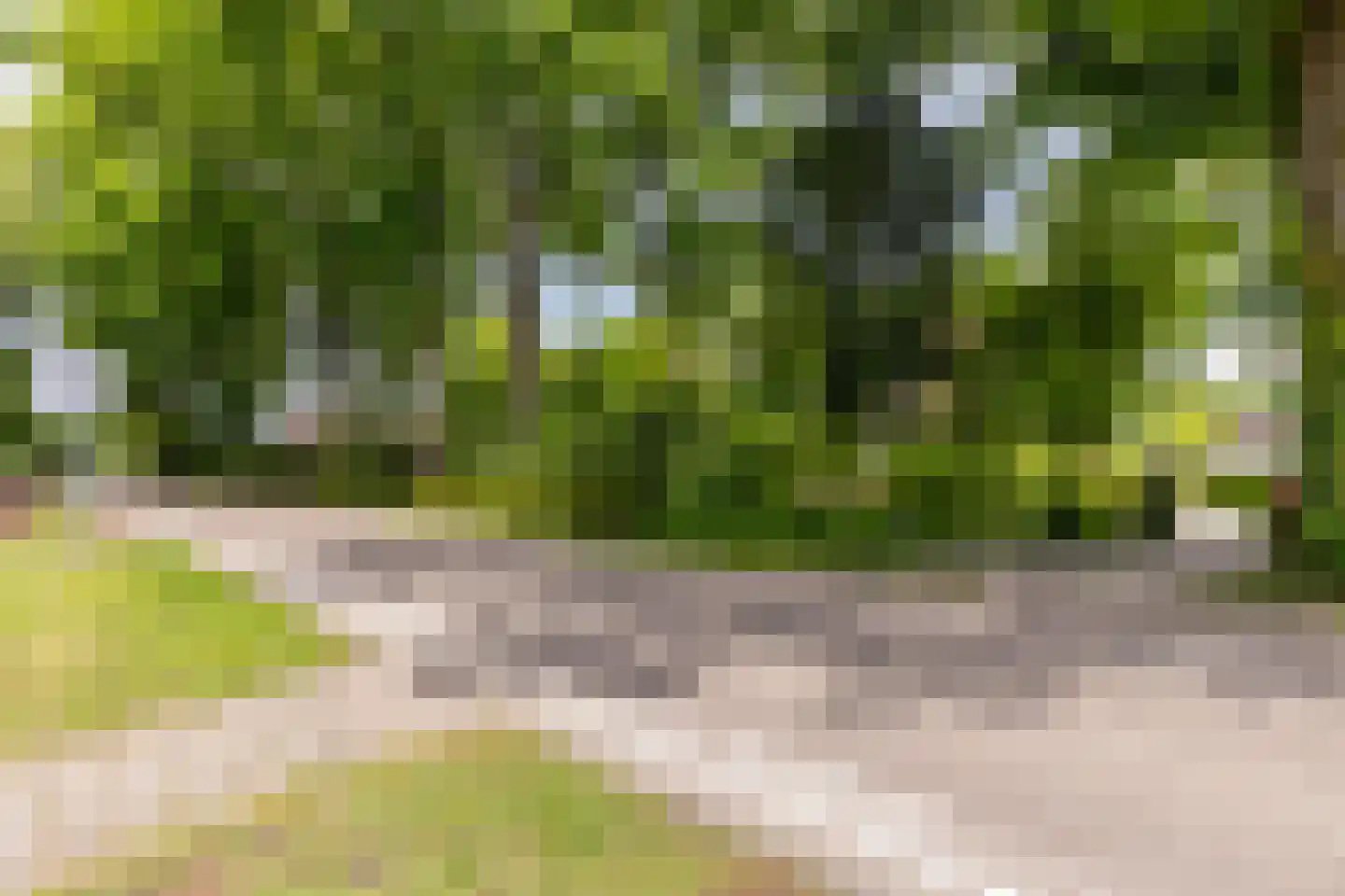 Esschebaan 6 Boxtel thumbnail 47