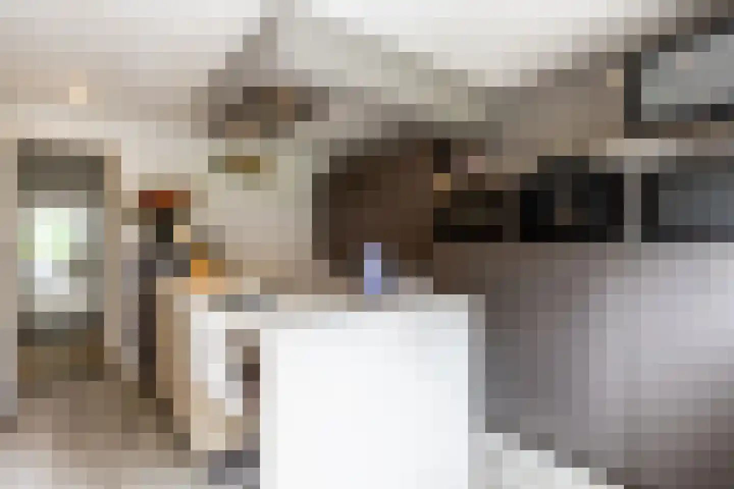 Esschebaan 6 Boxtel thumbnail 9