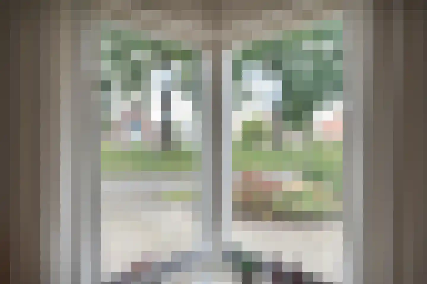 Esschenbrüggerdijk 53 Coevorden thumbnail 13