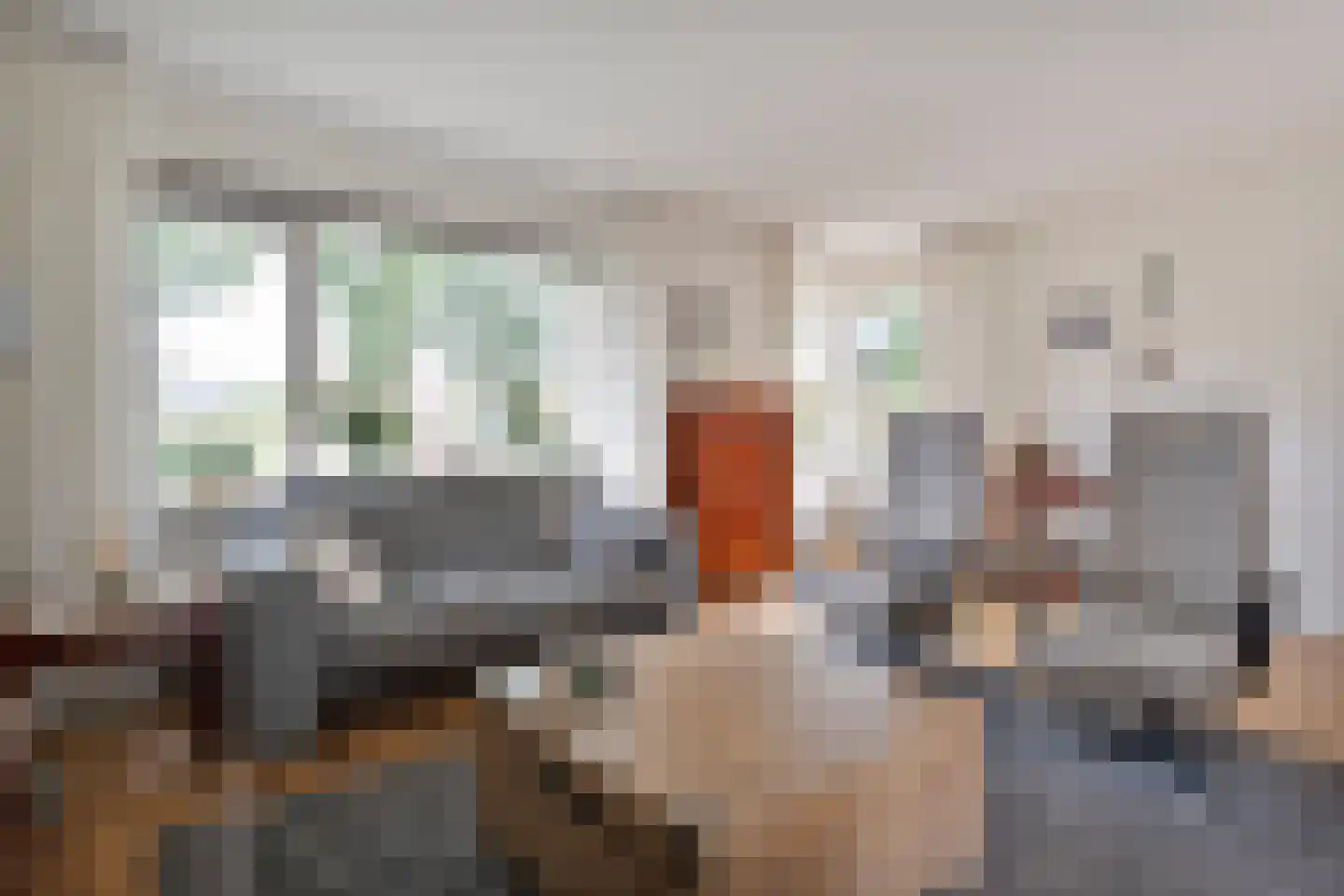 Esschenbrüggerdijk 53 Coevorden thumbnail 14