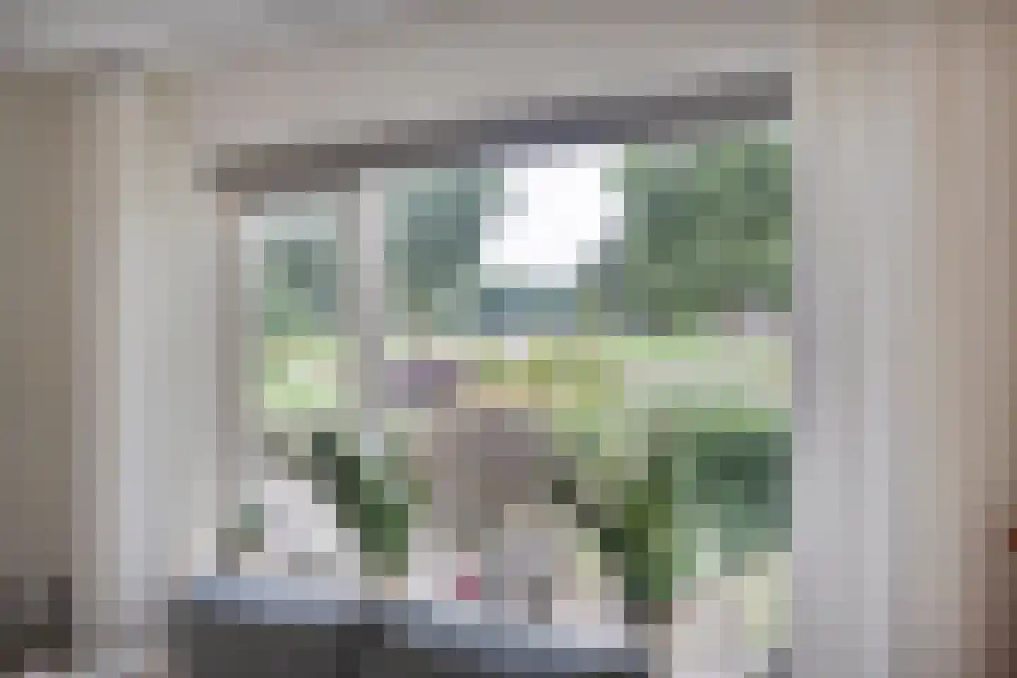 Esschenbrüggerdijk 53 Coevorden thumbnail 15