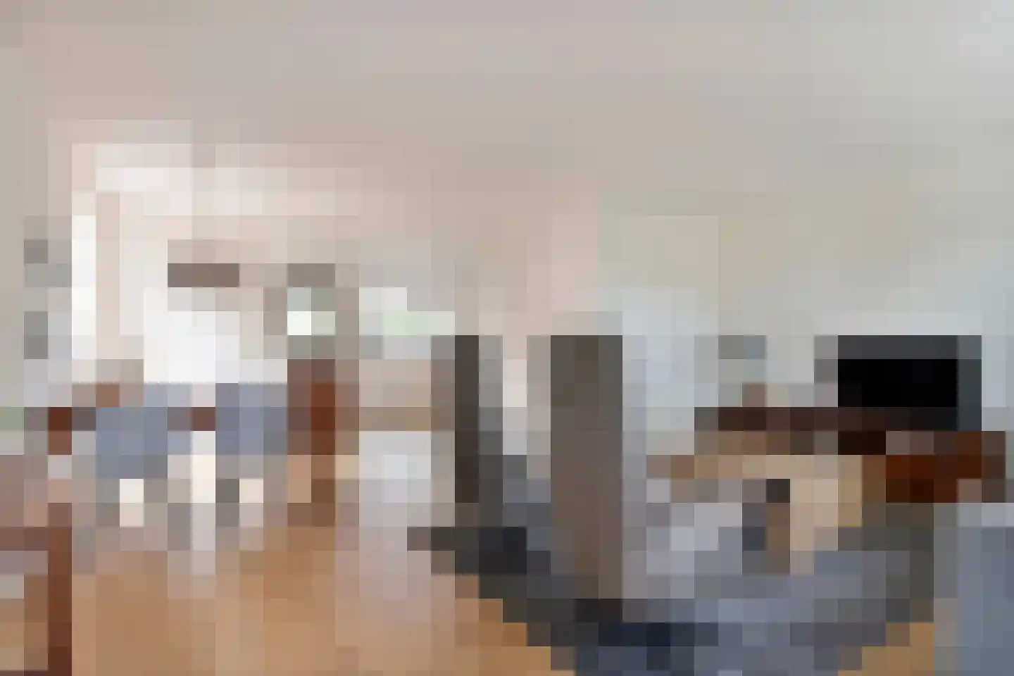 Esschenbrüggerdijk 53 Coevorden thumbnail 16