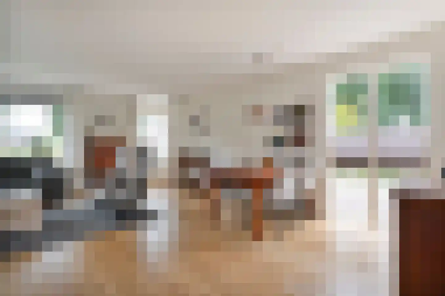 Esschenbrüggerdijk 53 Coevorden thumbnail 17