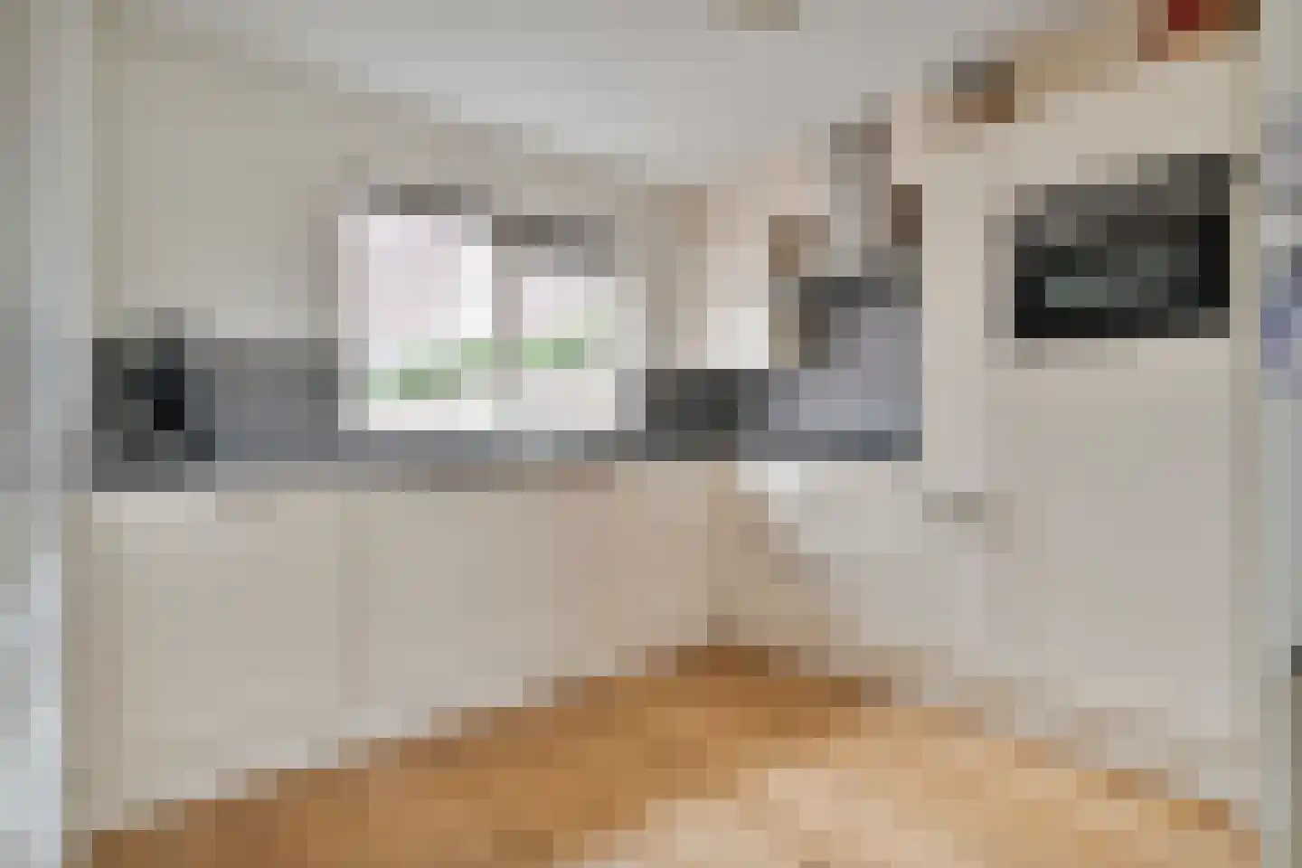 Esschenbrüggerdijk 53 Coevorden thumbnail 19