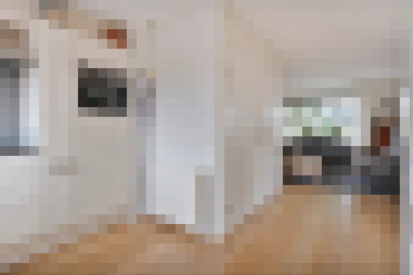Esschenbrüggerdijk 53 Coevorden thumbnail 20