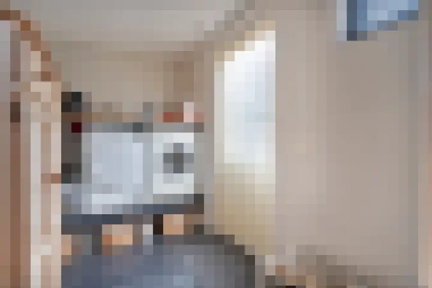 Esschenbrüggerdijk 53 Coevorden thumbnail 21