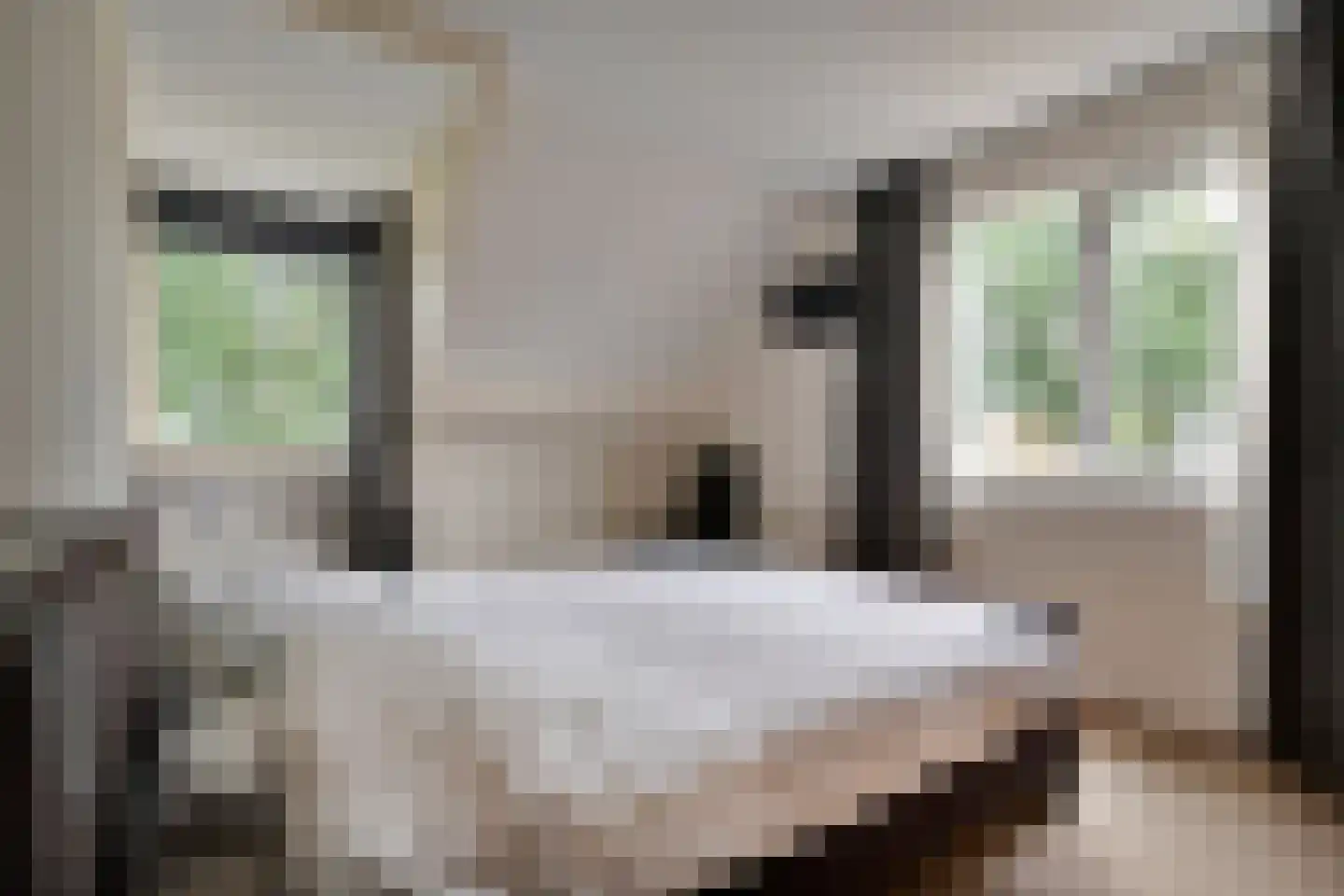 Esschenbrüggerdijk 53 Coevorden thumbnail 24