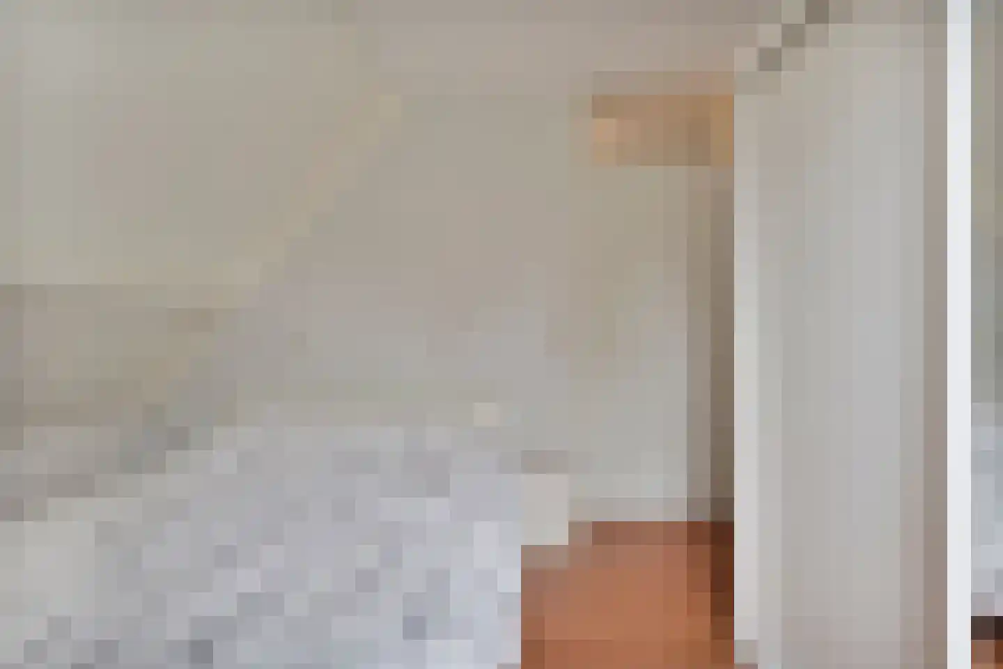 Esschenbrüggerdijk 53 Coevorden thumbnail 27