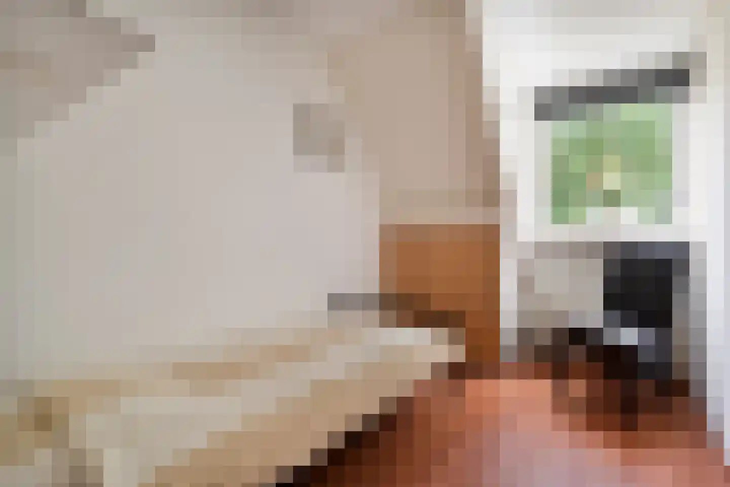 Esschenbrüggerdijk 53 Coevorden thumbnail 28