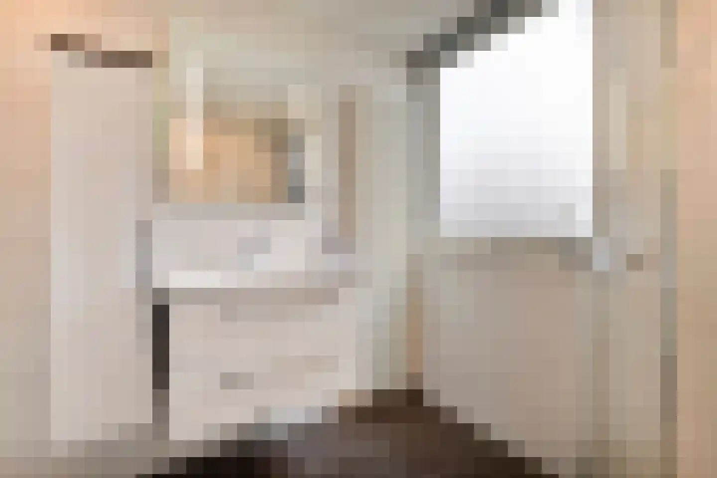 Esschenbrüggerdijk 53 Coevorden thumbnail 31