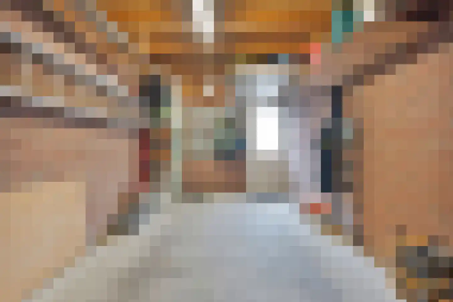 Esschenbrüggerdijk 53 Coevorden thumbnail 38
