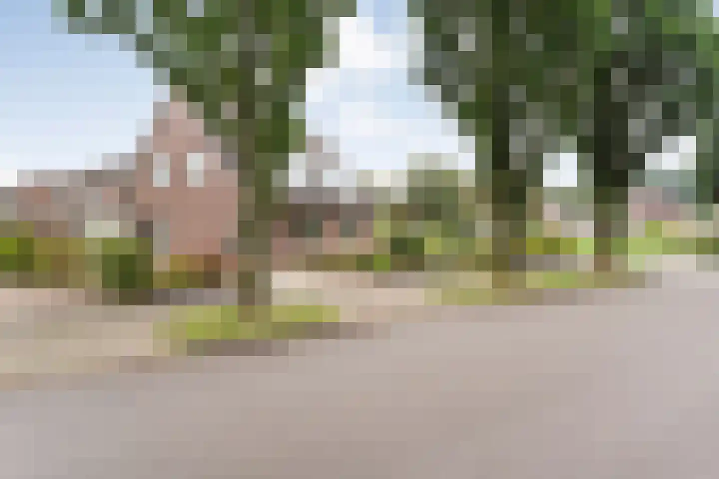 Esschenbrüggerdijk 53 Coevorden thumbnail 4