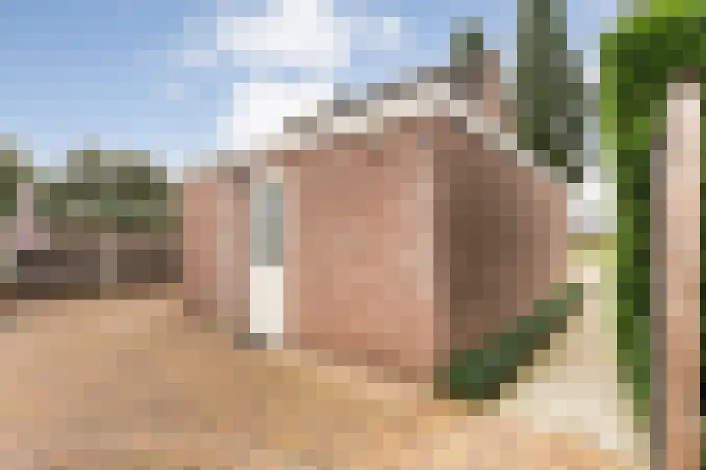 Esschenbrüggerdijk 53 Coevorden thumbnail 44