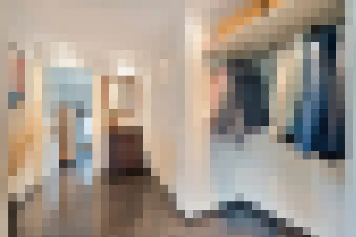 Esschenbrüggerdijk 53 Coevorden thumbnail 9