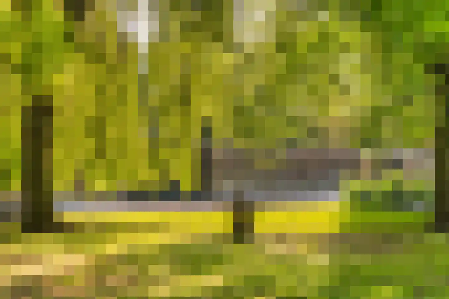 Esschenweg 111 Heerlen thumbnail 102