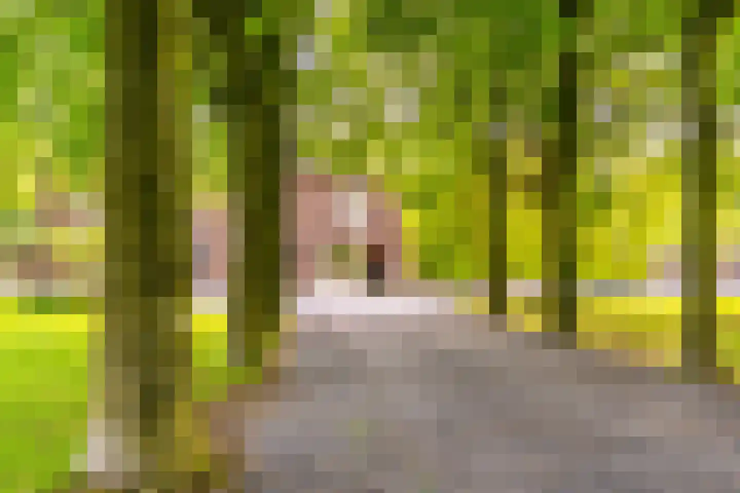Esschenweg 111 Heerlen thumbnail 11