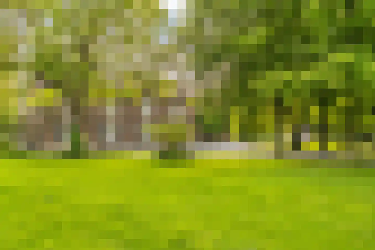 Esschenweg 111 Heerlen thumbnail 12