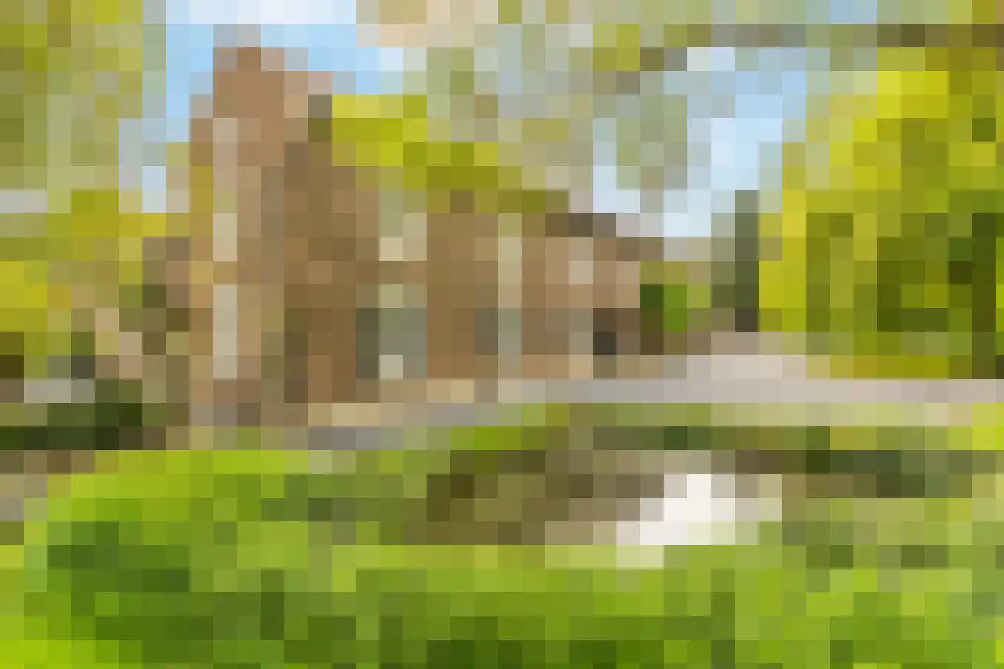 Esschenweg 111 Heerlen thumbnail 13
