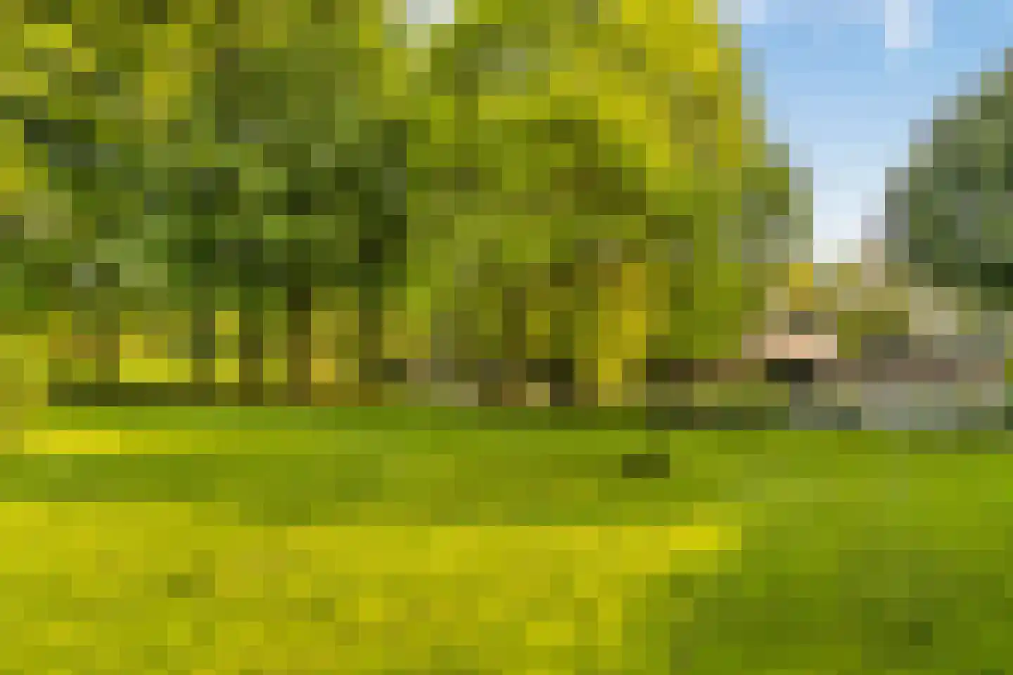 Esschenweg 111 Heerlen thumbnail 27