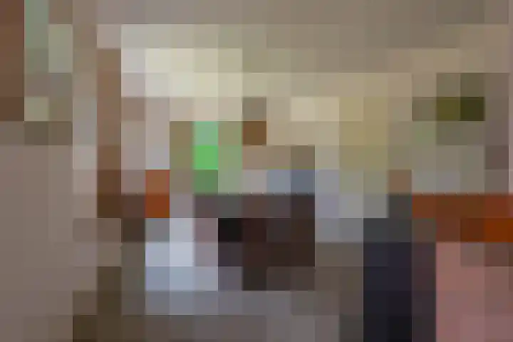 Esschertsweg 4 Epe thumbnail 12