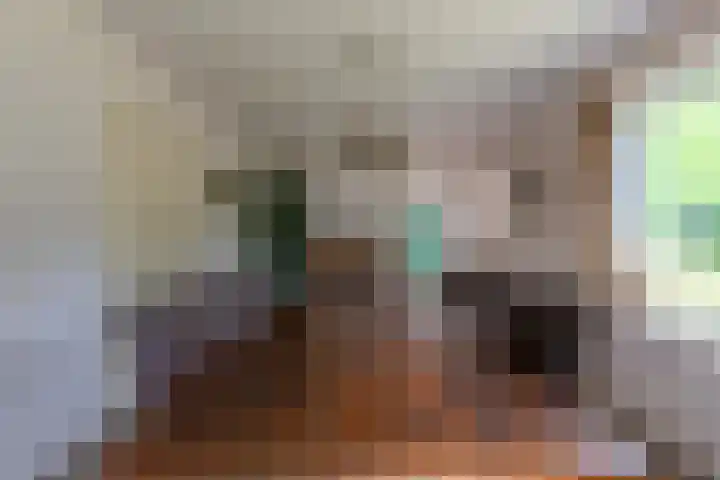 Esschertsweg 4 Epe thumbnail 13