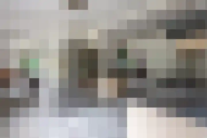 Esschertsweg 4 Epe thumbnail 14