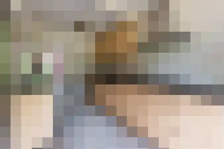 Esschertsweg 4 Epe thumbnail 15