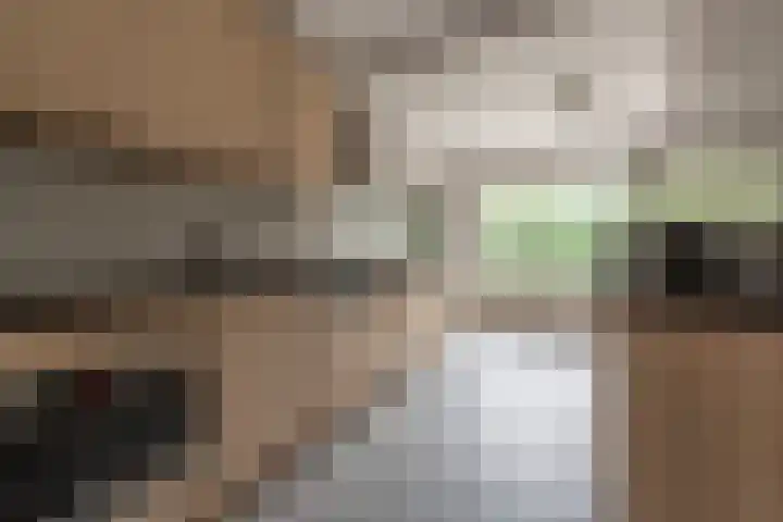 Esschertsweg 4 Epe thumbnail 16