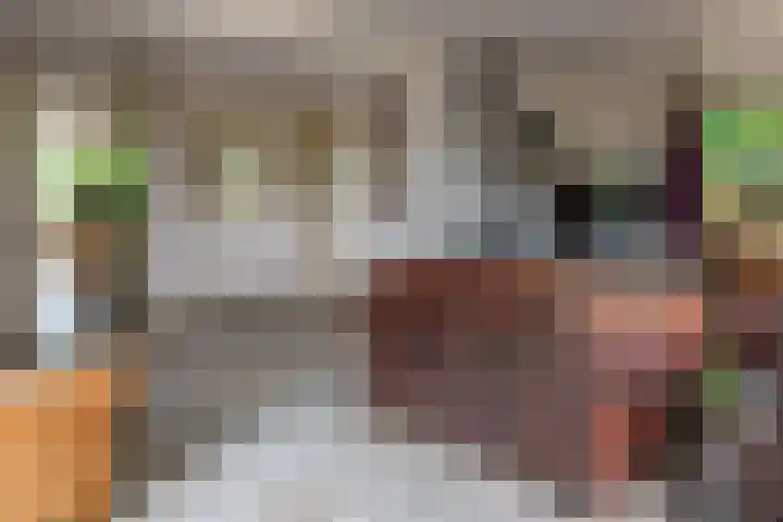 Esschertsweg 4 Epe thumbnail 17