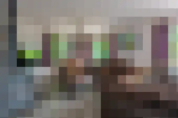 Esschertsweg 4 Epe thumbnail 18