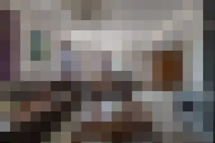 Esschertsweg 4 Epe thumbnail 19