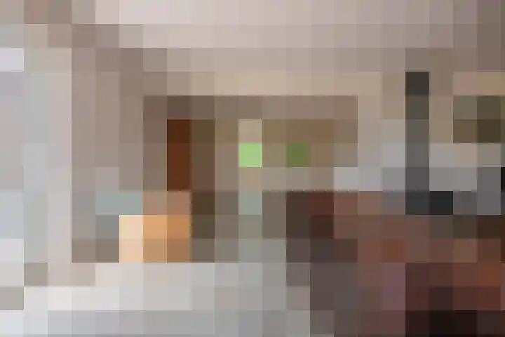 Esschertsweg 4 Epe thumbnail 20