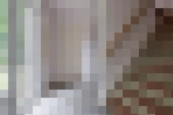 Esschertsweg 4 Epe thumbnail 21