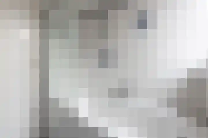 Esschertsweg 4 Epe thumbnail 27